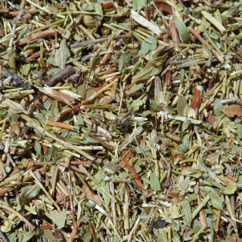 PLANTAS MEDICINALES - TÉ DE ROCA ECO - Granel Arte